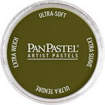 PanPastel Bright Yellow Green Extra Dark 680.1 9ml
