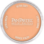 PanPastel Burnt Sienna Light 740.7 9ml