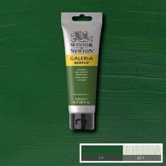 Galeria Acrylverf 120ml Sap Green 599