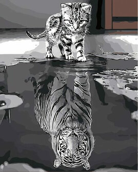 Paint By Number Set Cat Tiger 40x50cm