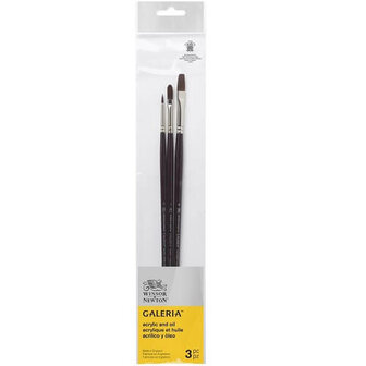 Winsor &amp; Newton Galeria Acrylverf Olieverf Penselen Set 3