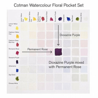 Winsor &amp; Newton Cotman Floral Pocket Box Aquarelset 8 napjes 5