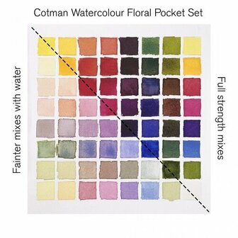 Winsor &amp; Newton Cotman Floral Pocket Box Aquarelset 8 napjes 6