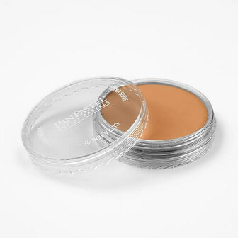 PanPastel Bronze 930.5 9ml
