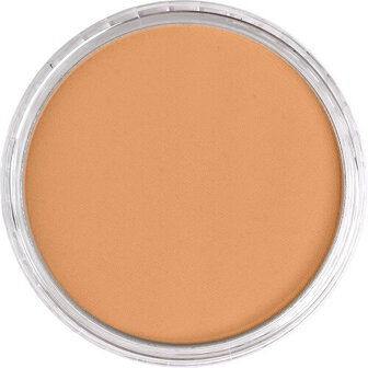 PanPastel Bronze 930.5 9ml B