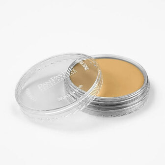 PanPastel Rich Gold 911.5 9ml
