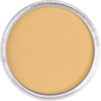 PanPastel Rich Gold 911.5 9ml B