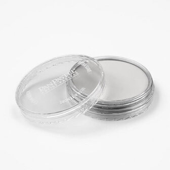 PanPastel Silver 920.5 9ml