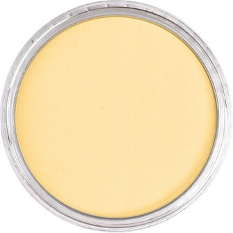 PanPastel Light Gold 910.5 9ml B