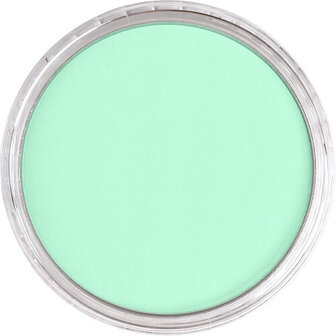PanPastel Pearlescent Green 956.5 9ml B
