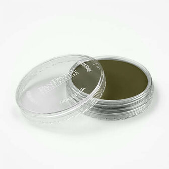 PanPastel Hansa Yellow Extra Dark 220.1 9ml A
