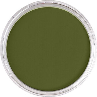 PanPastel Hansa Yellow Extra Dark 220.1 9ml B