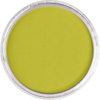 PanPastel Hansa Yellow Shade 220.3 9ml B
