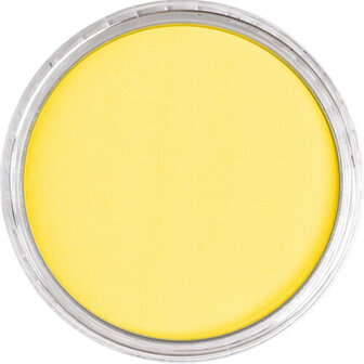PanPastel Primary Yellow 230.5 9ml B