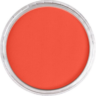 PanPastel Vermilion 310.5 9ml B