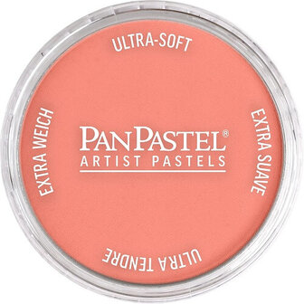 PanPastel Vermilion Medium 310.6 9ml