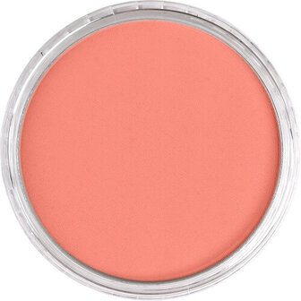 PanPastel Vermilion Medium 310.6 9ml B