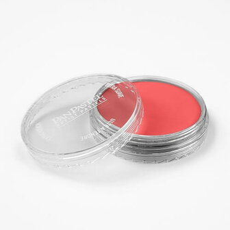 PanPastel Permanent Red Medium 340.6 9ml A