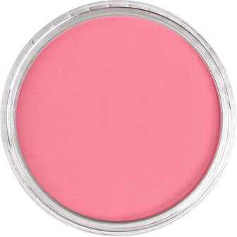 PanPastel Permanent Red Light 340.7 9ml B