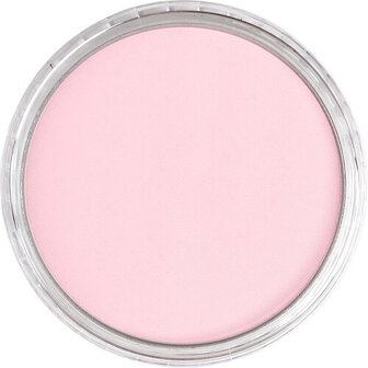 PanPastel Permanent Red Tint 340.8 9ml B