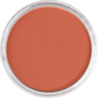 PanPastel Red Iron Oxide Light 380.7 9ml B