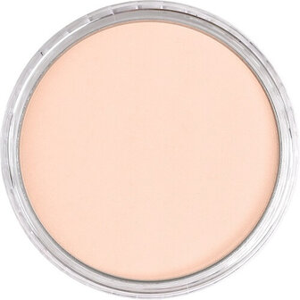 PanPastel Red Iron Oxide Tint 380.8 9ml B