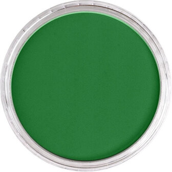PanPastel Permanent Green Shade 640.3 9ml B