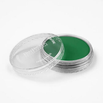 PanPastel Permanent Green 640.5 9ml A