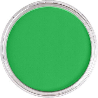 PanPastel Permanent Green 640.5 9ml B
