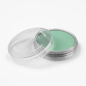 PanPastel Permanent Green Light 640.7 9ml A