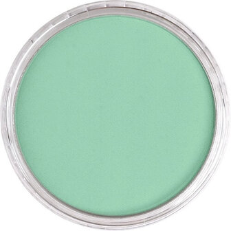 PanPastel Permanent Green Light 640.7 9ml B