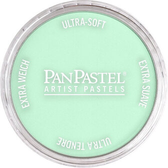 PanPastel Permanent Green Tint 640.8 9ml
