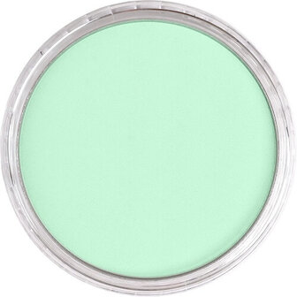 PanPastel Permanent Green Tint 640.8 9ml B