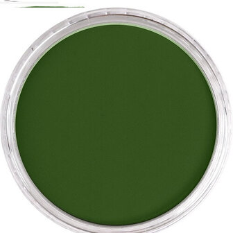 PanPastel Chromium Oxide Green 660.5 9ml B