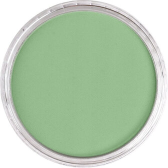 PanPastel Chromium Oxide Green Light 660.7 9ml B