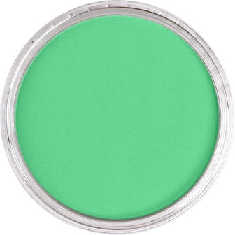 PanPastel Blue Green Light 670.7 9ml B