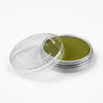 PanPastel Bright Yellow Green Shade 680.3 9ml A