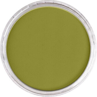 PanPastel Bright Yellow Green Shade 680.3 9ml B