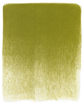 PanPastel Bright Yellow Green Shade 680.3 9ml C