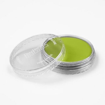 PanPastel Bright Yellow Green 680.5 9ml A
