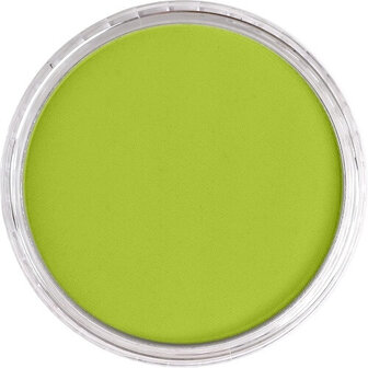 PanPastel Bright Yellow Green 680.5 9ml B