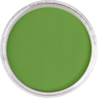 PanPastel Yellow Green Shade 690.3 9ml B