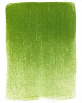 PanPastel Yellow Green Shade 690.3 9ml C