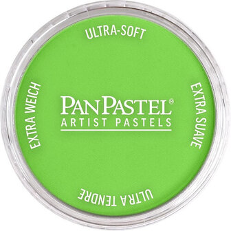PanPastel Yellow Green 690.5 9ml