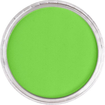 PanPastel Yellow Green 690.5 9ml B