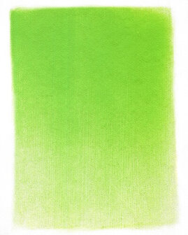 PanPastel Yellow Green 690.5 9ml C