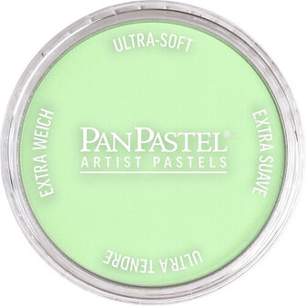 PanPastel Yellow Green Tint 690.8 9ml