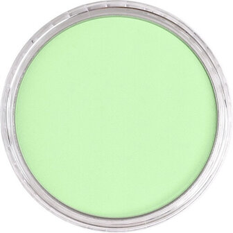 PanPastel Yellow Green Tint 690.8 9ml B