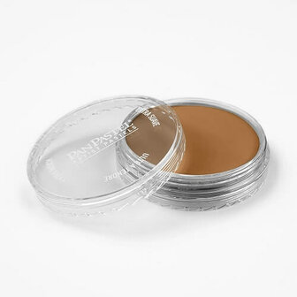 PanPastel Raw Sienna Shade 710.3 9ml A