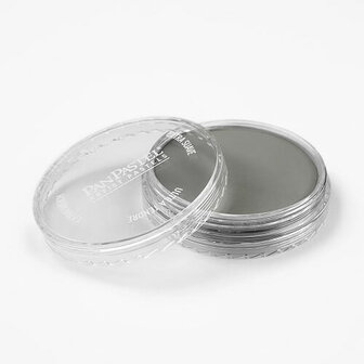 PanPastel Neutral Grey 820.5 9ml A